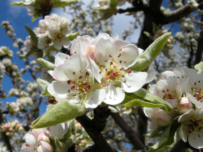 Aria di primavera...